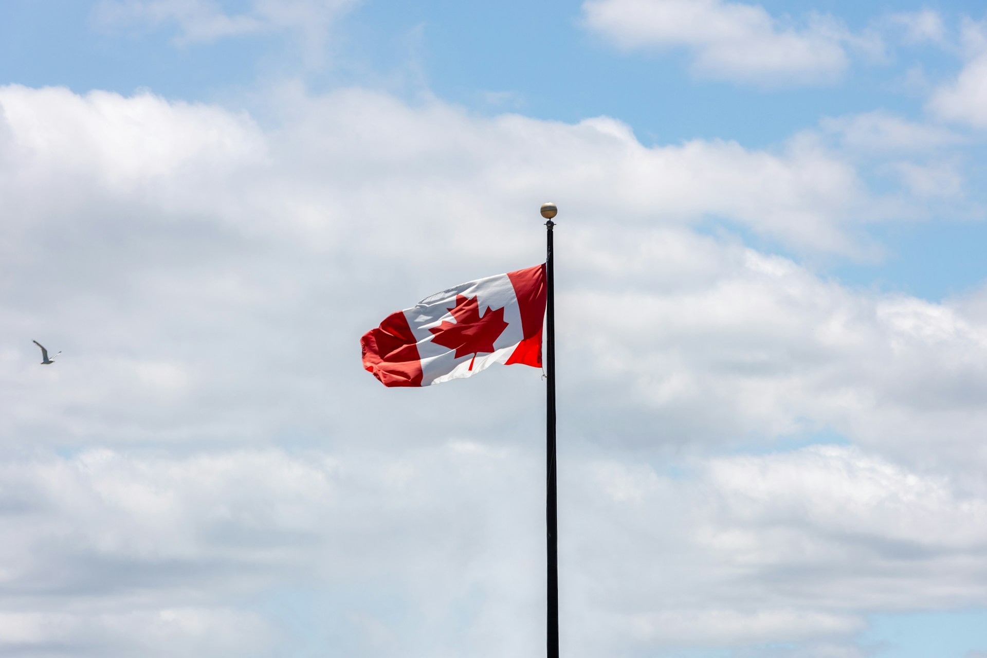 Canadian Parliament Approves Further Spending on the Cdcp: What Impact Will This Have?